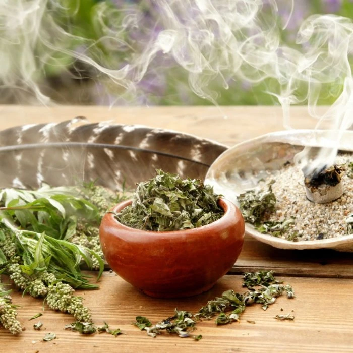 Gewöhnlicher Beifuß (Artemisia Vulgaris) 2 Gewöhnlicher Beifuß (Artemisia Vulgaris) - Image 2