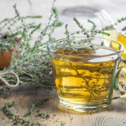 5 Pflanzen (Kräuter Für Den Balkon) Mix -Günstiges Lichtnelke Geschäft thymus vulgaris echter thymian adobestock 294506294 sk 1